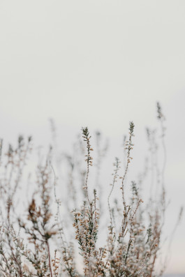 Natürlich Werkstatt