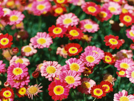 Natürlich Werkstatt