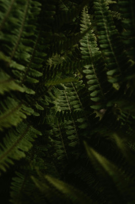 Natürlich Werkstatt